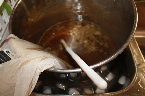 cooling wort in an ice bath