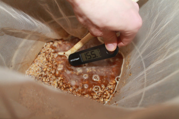 mashing your beer grains