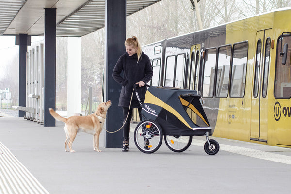 hercules heavy duty dog stroller