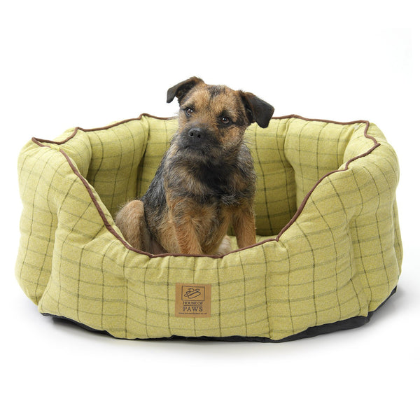 house of paws dog bed