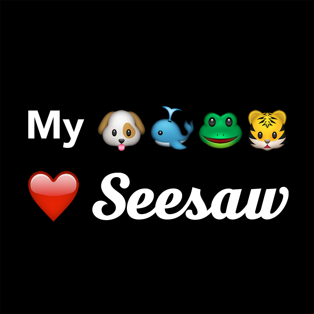 seesaw store