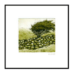 stone wall and blackthorn bush print
