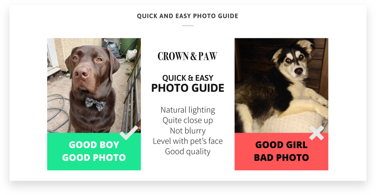Crown & Paw Online Pet Retailer Product Page Example