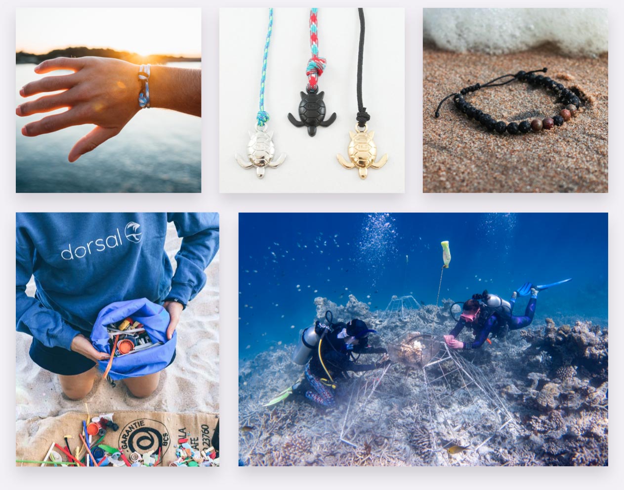 Dorsal brand imagery, products, cleaning beaches, coral restoration