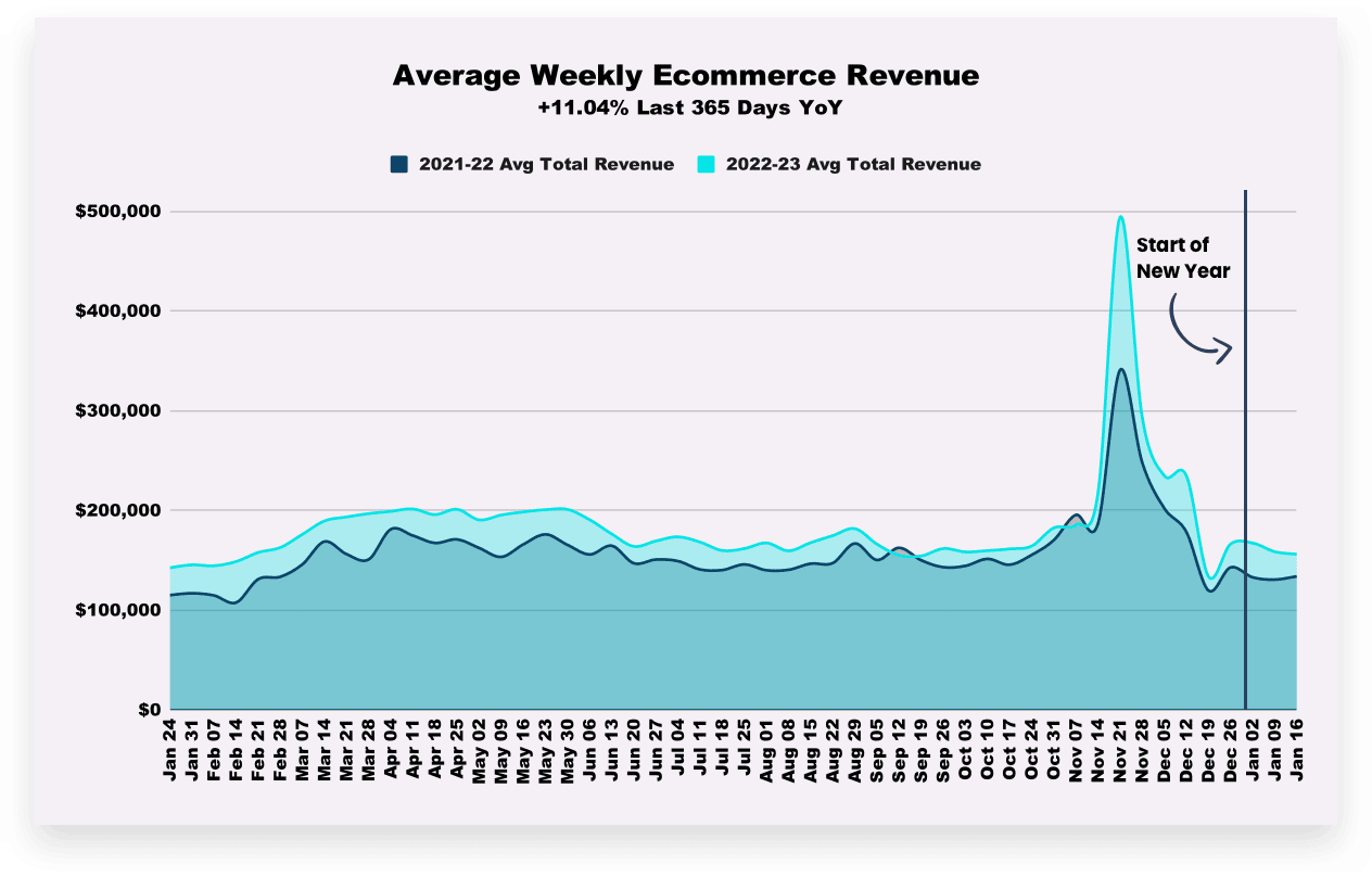 Average Ecommerce Revenue 12-Month Rolling YoY