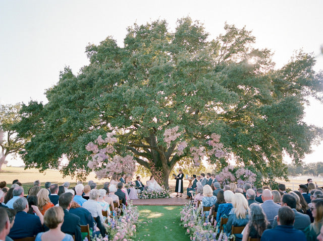 Windy Knoll Farms Round Rock Texas Custom Wedding Gown David Peck