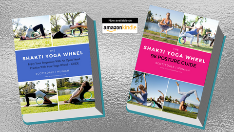 The Shakti Yoga Wheel®Guides