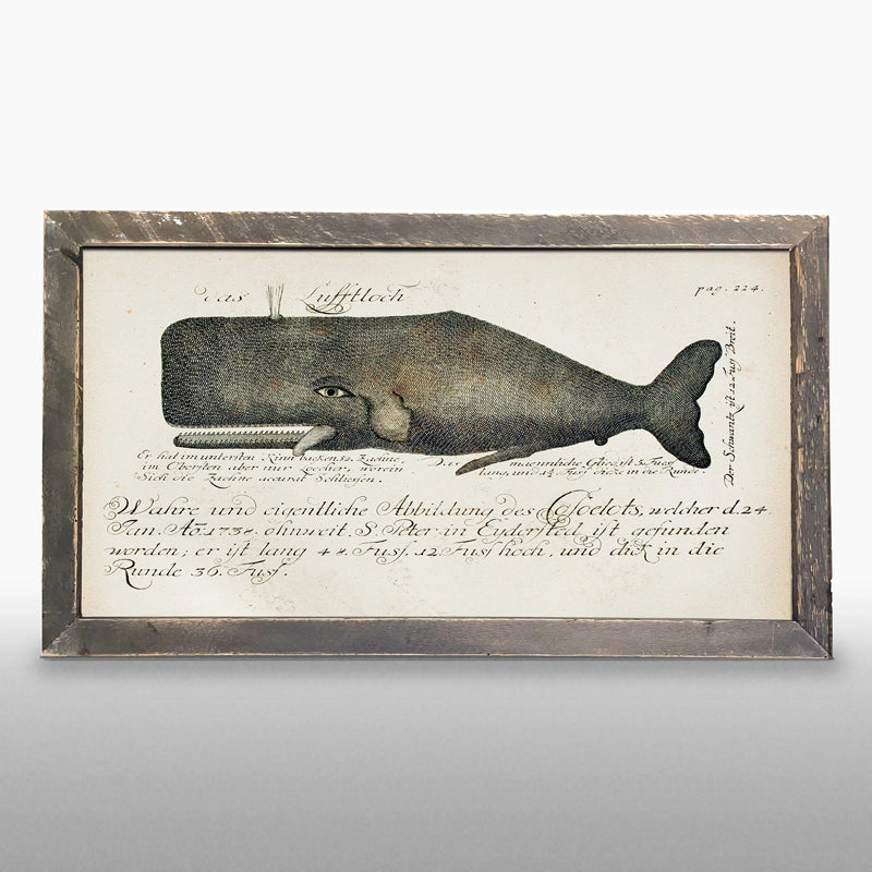 Framed Whale Art - Natural Horizontal Large - 26-inch