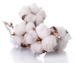Turkish Cotton vs Eqyptian Cotton