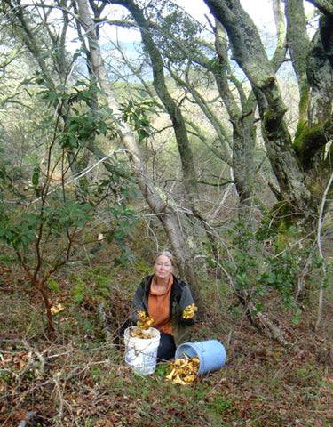 Connie Green picking wild chanterelle mushrooms