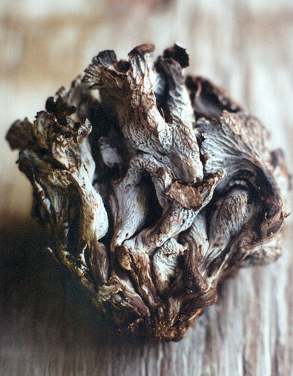 “Poor Man’s Truffle”, or big black trumpet mushroom for Risotto