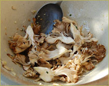 Wine Forest Wild Foods How To's Cooking Wild Mushrooms roasting step 1 toss the mushrooms with oil and seasonings 