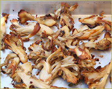 Wine Forest Wild Foods How To's Cooking Wild Mushrooms roasting step 2 cook in the oven until just crisped