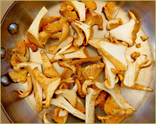 Wine Forest Wild Foods How To's Cooking Wild Mushrooms saute step 2 heat oil in a pan 