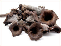 Wine Forest Wholesale Wild Black Trumpet Mushrooms