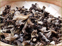 Wine Forest Wild Foods Wholesale Premium Dried Wild Black Trumpet Mushrooms in Bulk