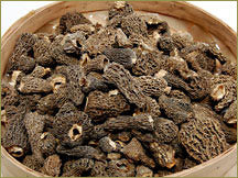 Wine Forest Wild Foods Wholesale Premium Dried Wild Grey Morel Mushrooms in Bulk