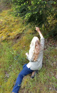 The Wine Forest Blog Connie harvesting fir tips