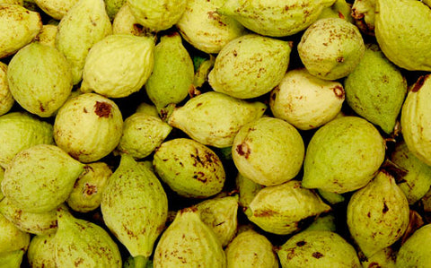 The Wine Forest Blog fresh yellow green walnuts