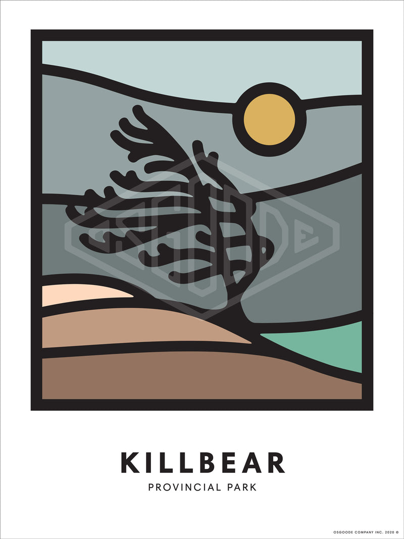 KILLBEAR PRINT