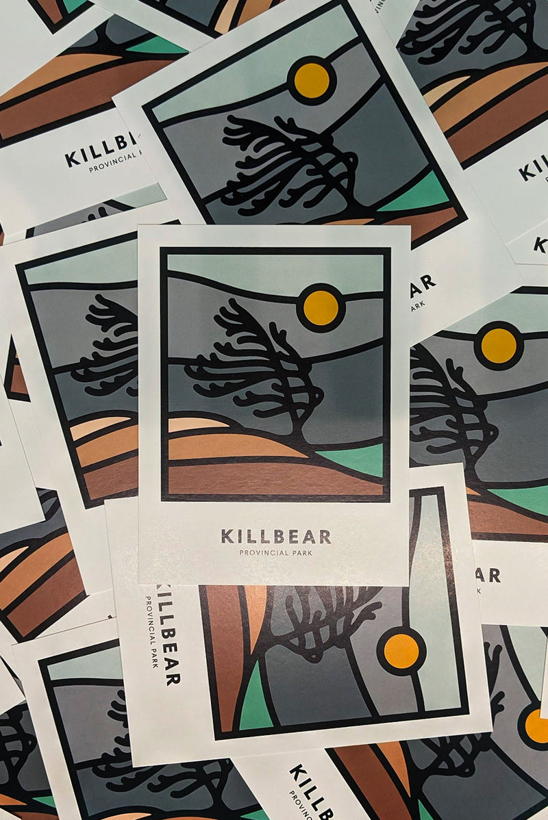 KILLBEAR POSTCARD