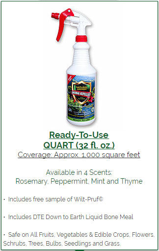 Natural Armor Animal Repellent Quart Ready To Use