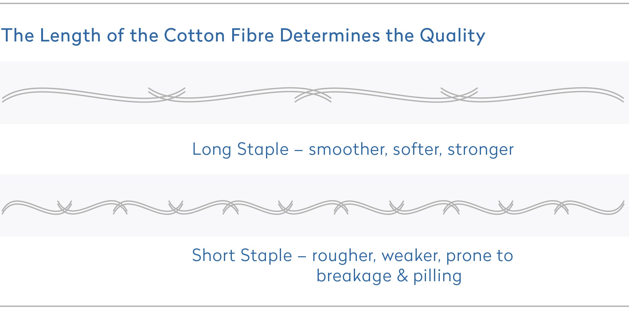 Length of Cotton Fibre Determines the Quality