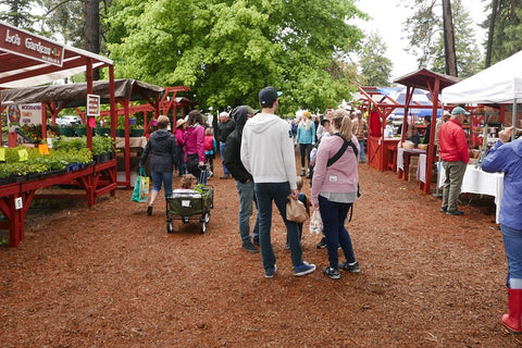 Hayden Farmers Market