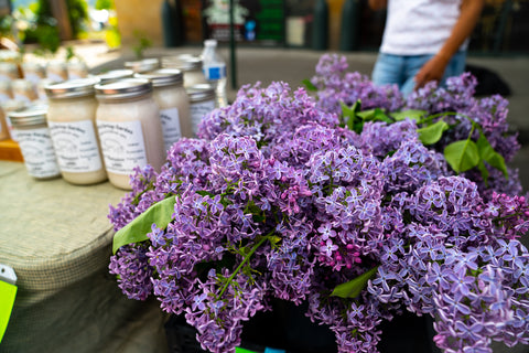 Farmers Market Lilacs