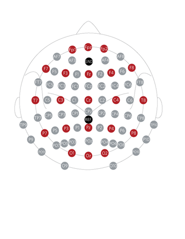 Electrode Array Cap, 68 Channel with DB37 Connectors