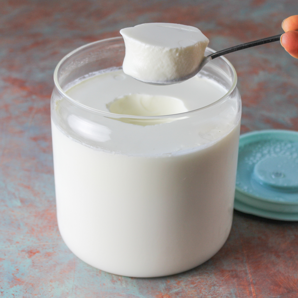 homemade lactose-free yogurt