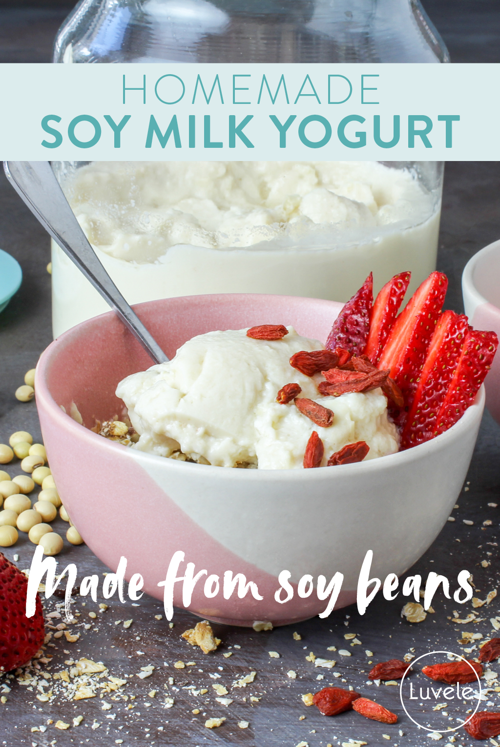 homemade soy milk yogurt