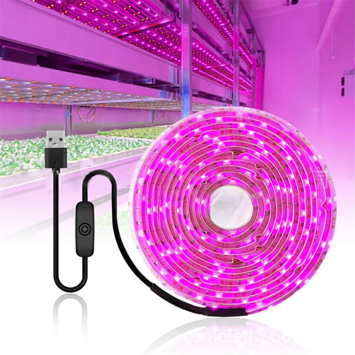 hydroponic led grow lights