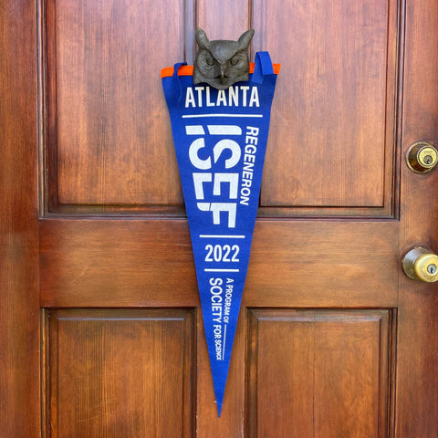 ISEF 2022 Pennant Other Society for Science