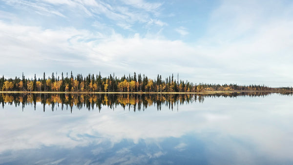 Ruska, Foliage, Maisema, Lappi, Visit Finland