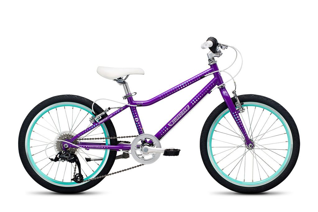 guardian 24 inch bike