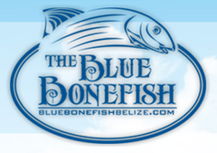 blue bone fish belize