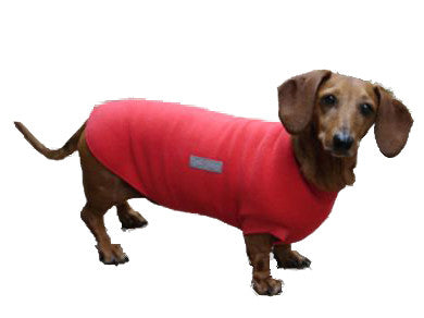 The Hug-A-Dog Harness: Inspired By Dachshunds' Unique Shape