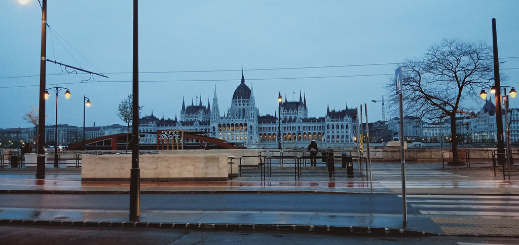 the parliament of Budapest