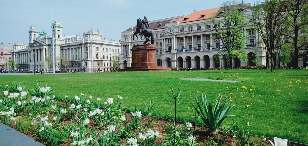 flowers in budapest