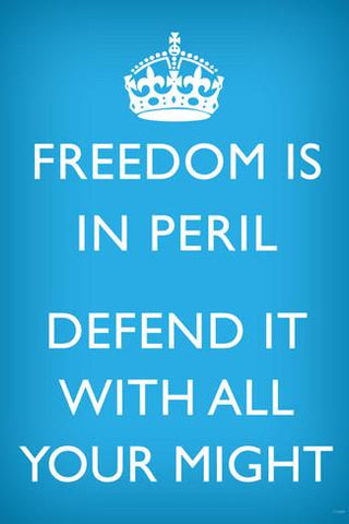 Freedom is in Peril poster