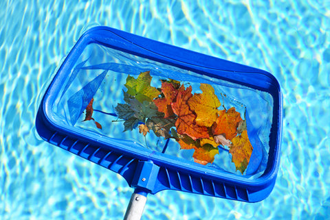 pool skimmer with leaves in it