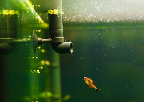 fish tank pipe with fish filter