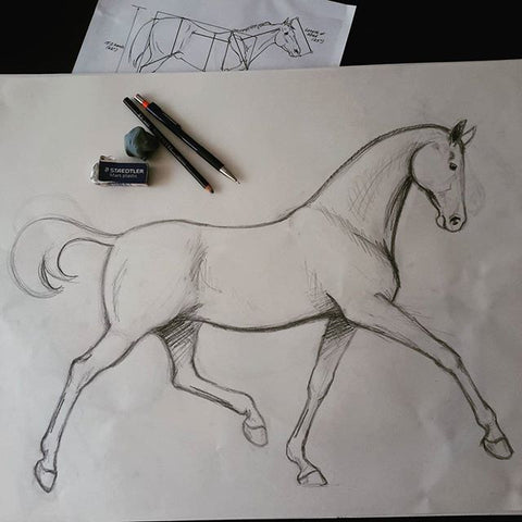 Horse half-pass drawing for sculpture