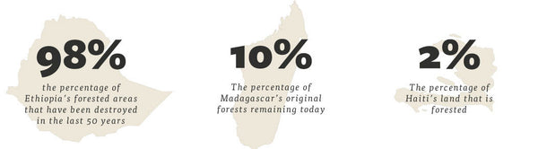 Deforestaion Stats