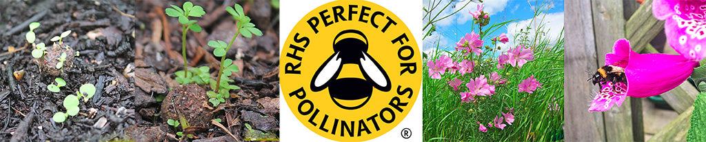 Bee Banner - Save the Bees and look great too