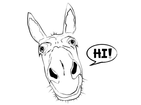 donkey illustration drawing