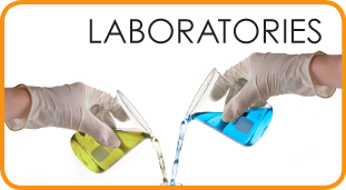 Laboratory gloves