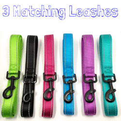 3 Matching Reflective Leash (We Match the Color For You)