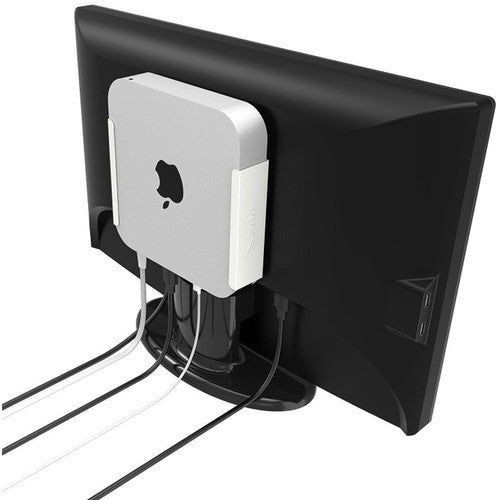 Buy Now Sabrent Mac Mini Vesa Wall Under Desk Mount India Tanotis